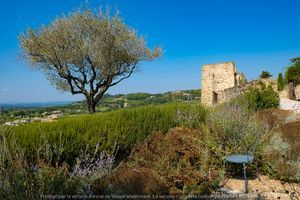 Les jardins 